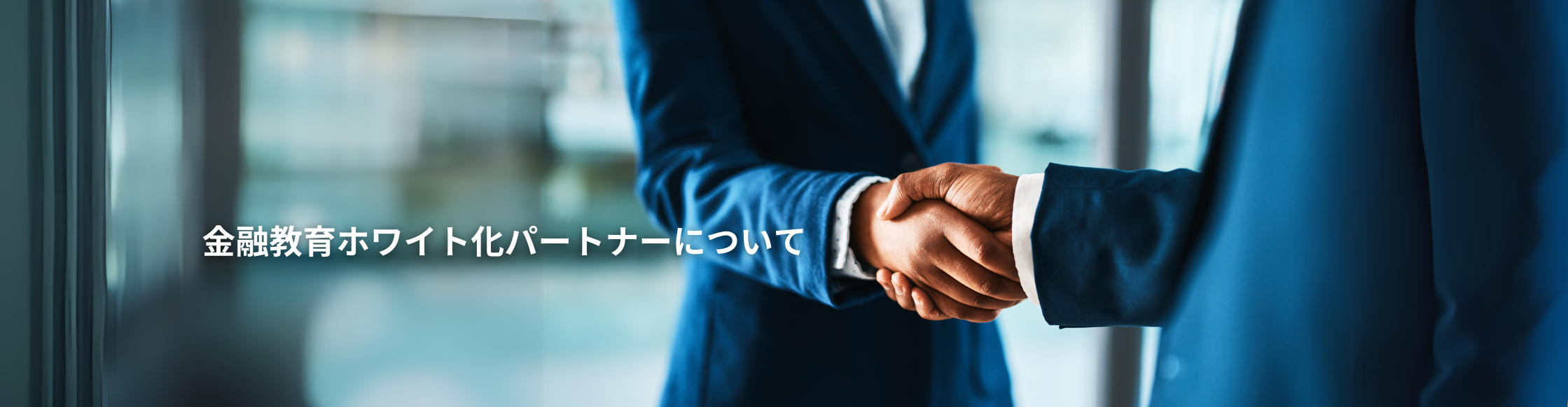 金融教育ホワイト化パートナーについて