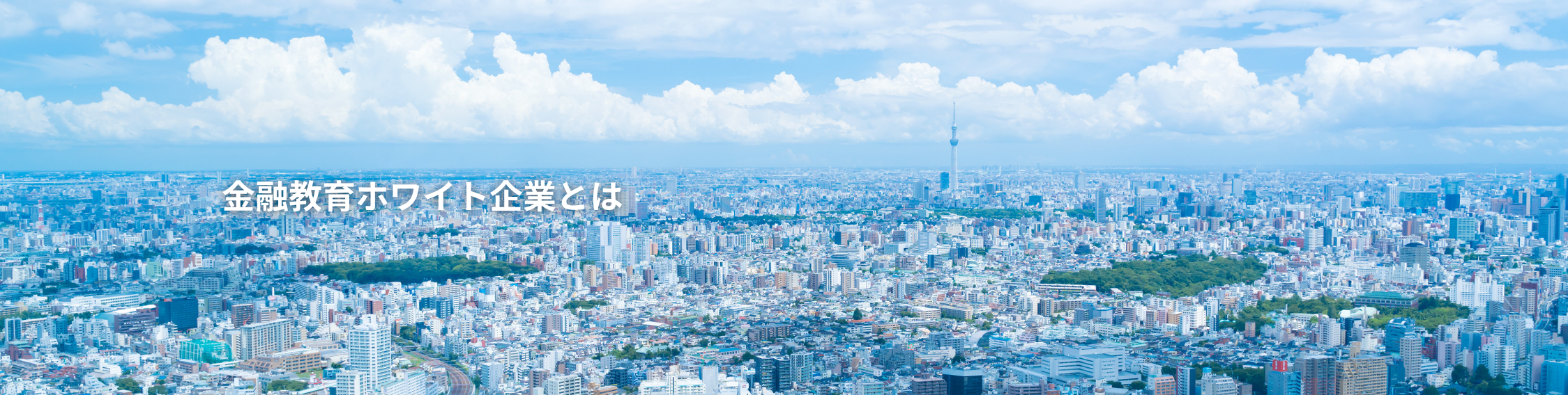 金融教育ホワイト企業認定とは